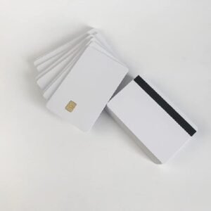 Cloned Visa Card