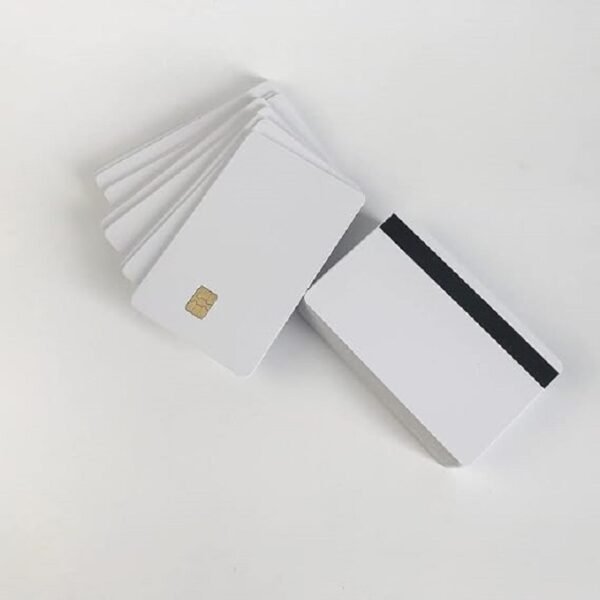 Cloned Visa Card